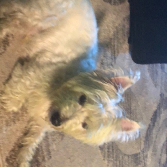 Meet your Posher, Kimberly - Picture 1 of 1